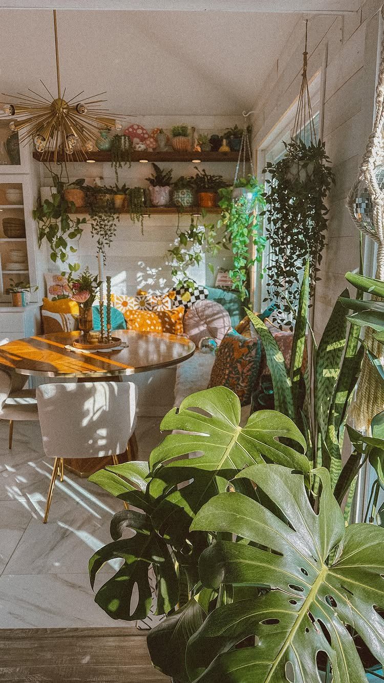 12 Bohemian Chic Dining Room Ideas for Effortless Style 1 Lush green indoor plants surrounding a round wooden dining table in a bright room.