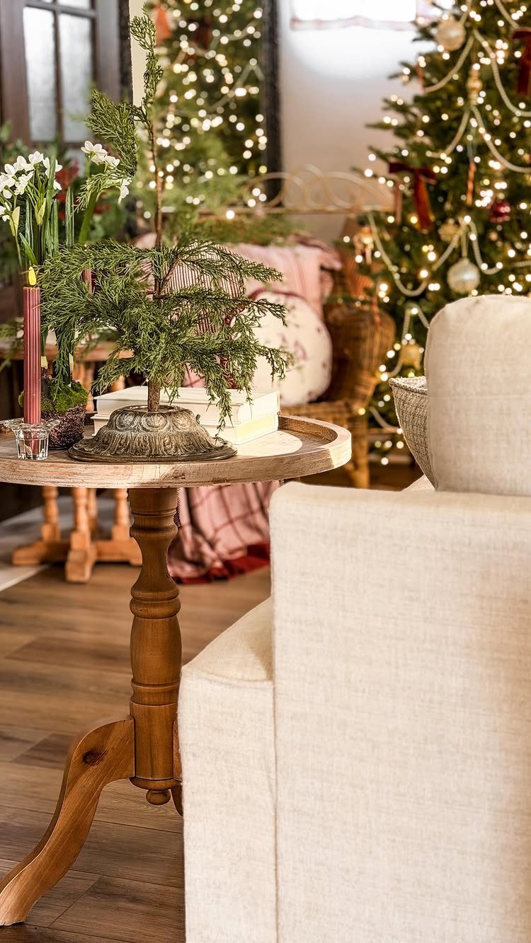 Small evergreen tree on a wooden side table in a festive living room