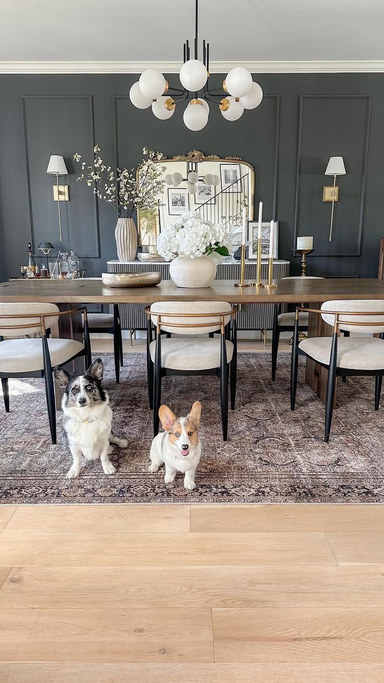 Patterned area rug under a wooden dining table with two small dogs sitting.