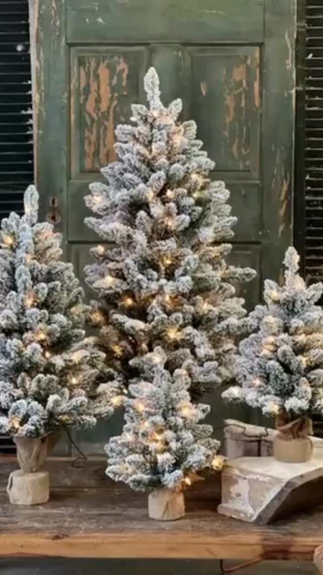 29 New Ideas for Christmas Decorating to Try in 2026 1 Three flocked tabletop Christmas trees with warm lights on rustic wooden bases.