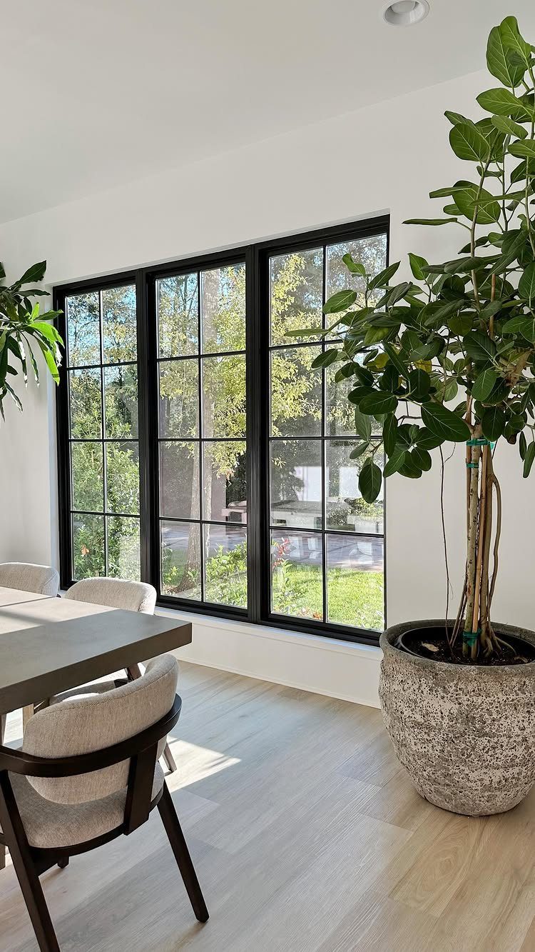 13 Open Concept Dining Room Ideas with Photos 12 Dining room with a large black window and a tall potted plant.