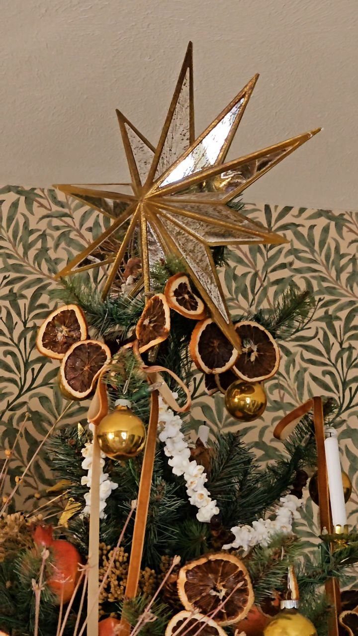 Christmas tree top with gold star, dried orange slices, and popcorn garlands.